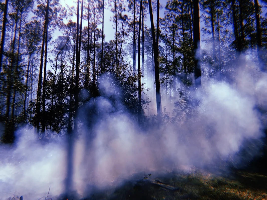 2017-12-26 11_50_49.425.jpg