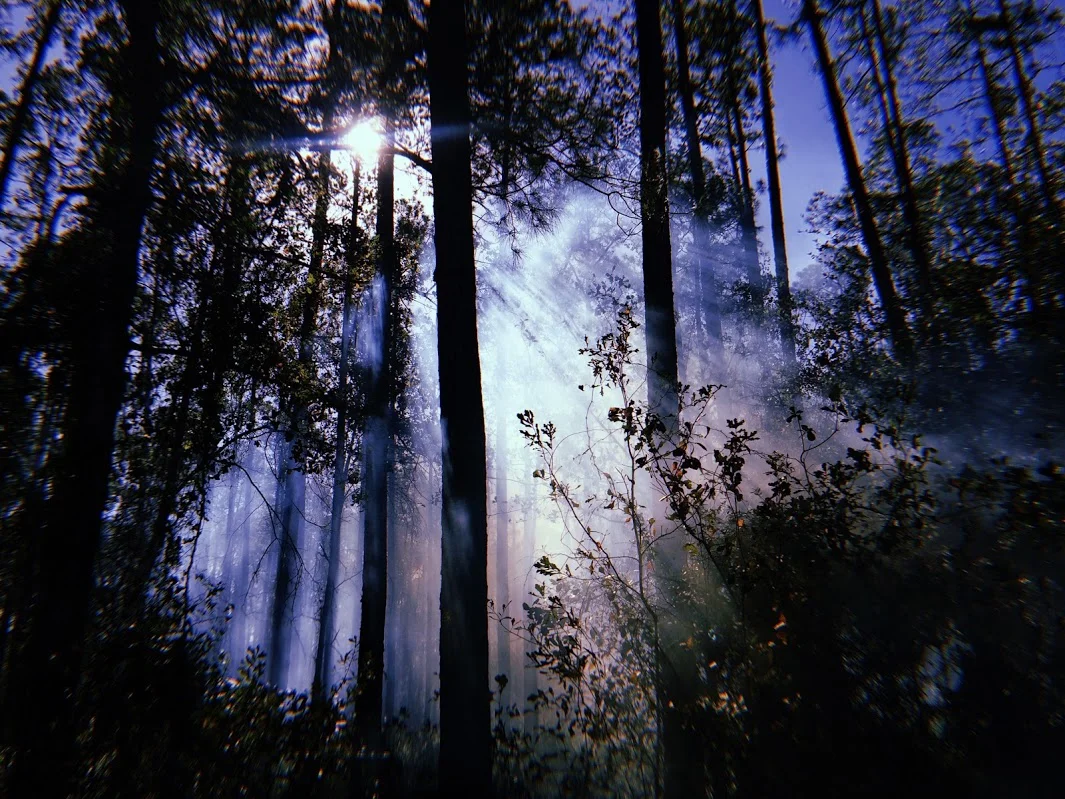 2017-12-26 11_28_27.350.jpg