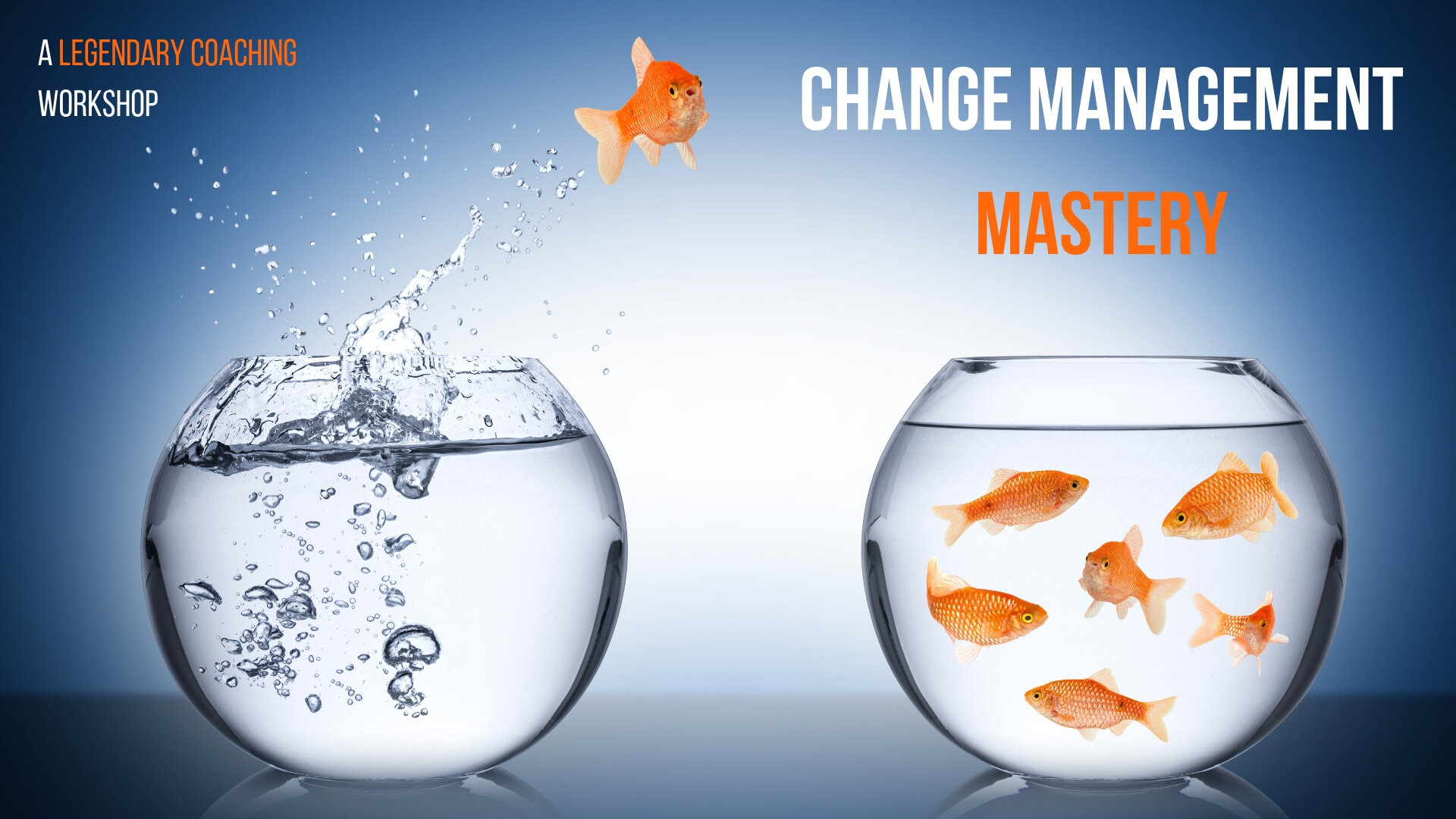 Change Management Mastery  - Workbook 
