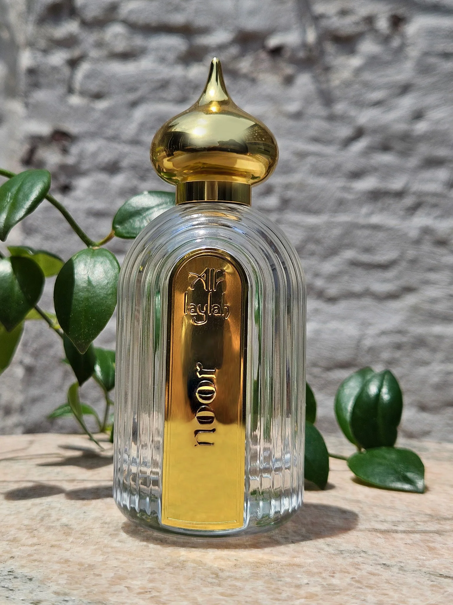 AL_noor with vine.jpg