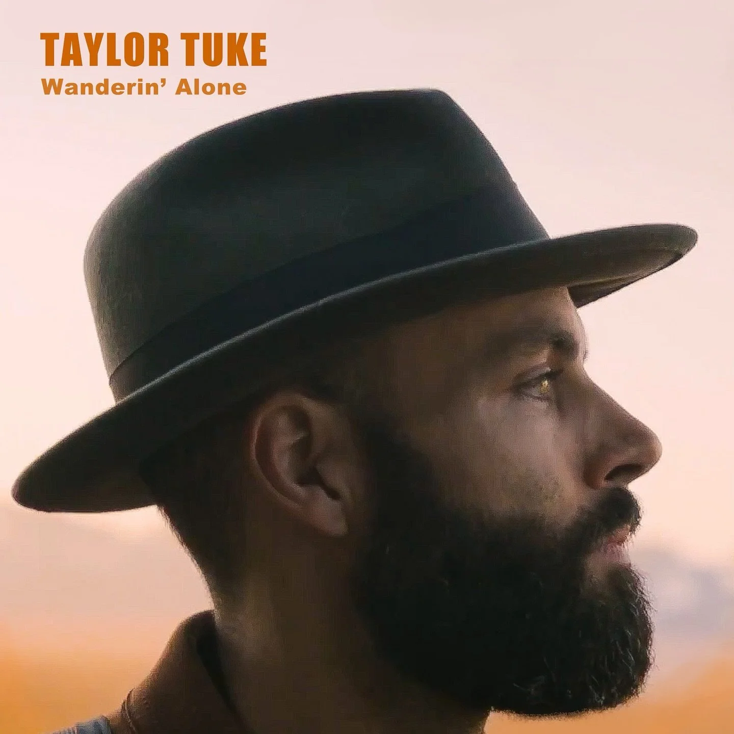 Wanderin&rsquo; Alone is scheduled to release on December 14th with a fun hipster music video made by Jon Duncan :) 
.
It features Amelia Ransom on fiddle, Allen Cooke on dobro and Andy Tyler Brown on upright bass 
.
A few months ago I went into the 