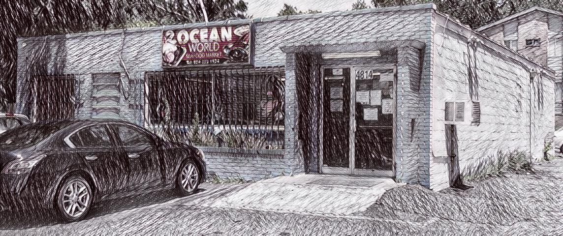 Ocean World Sketch.png