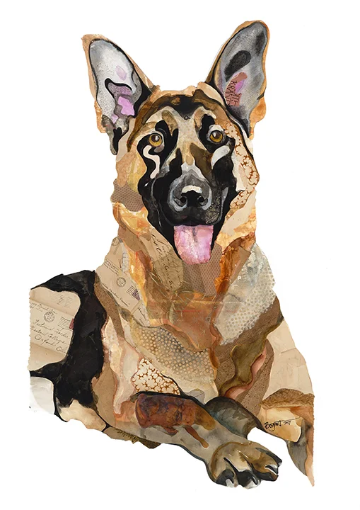 German Shepherd