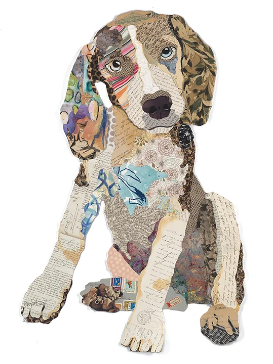 Beagle