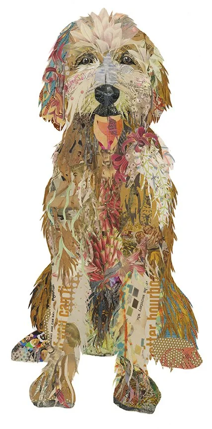 Ralph | Golden Doodle