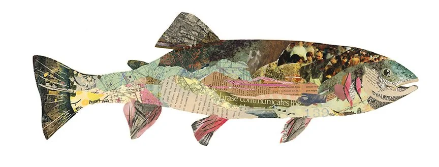 'Harry' Rainbow Trout