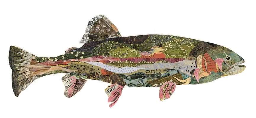 'Trevor' Rainbow Trout