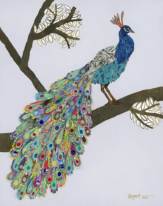 Paulo the Peacock