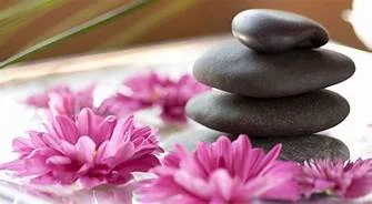 rocks and flowers.jpg