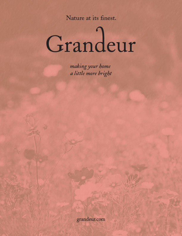 CassandraMoore_Branding_Grandeur_Pink.jpg