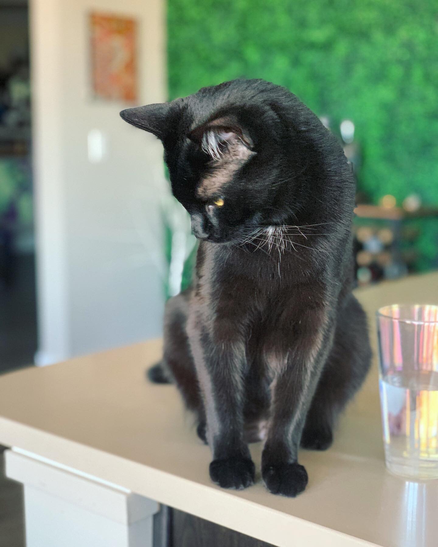 He&rsquo;s wondering when dinner is, same
