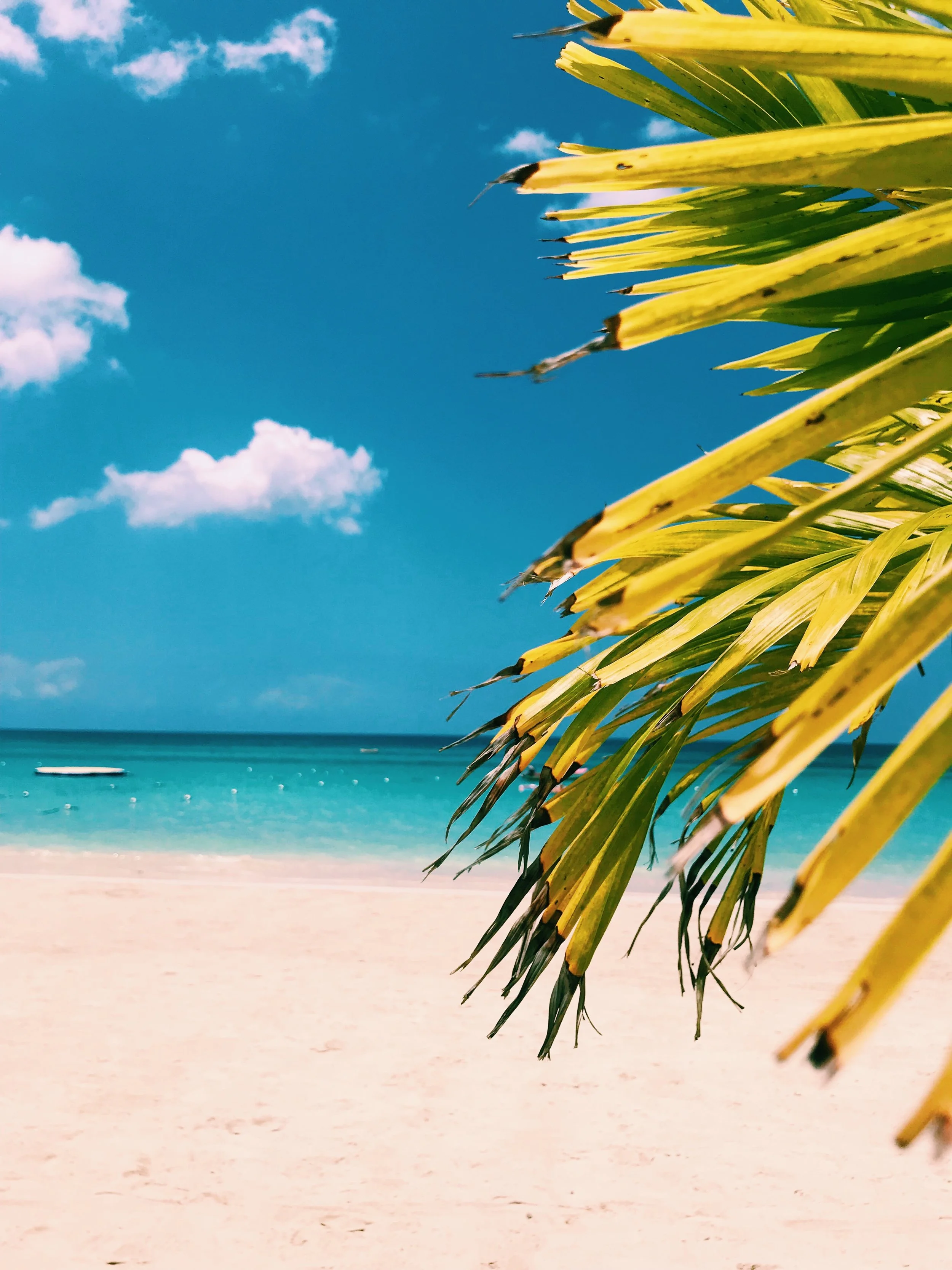 Let's Get Away To: Negril, Ja 