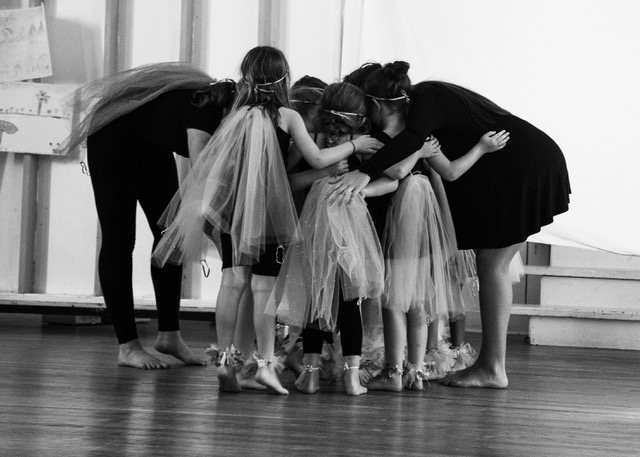 fairies