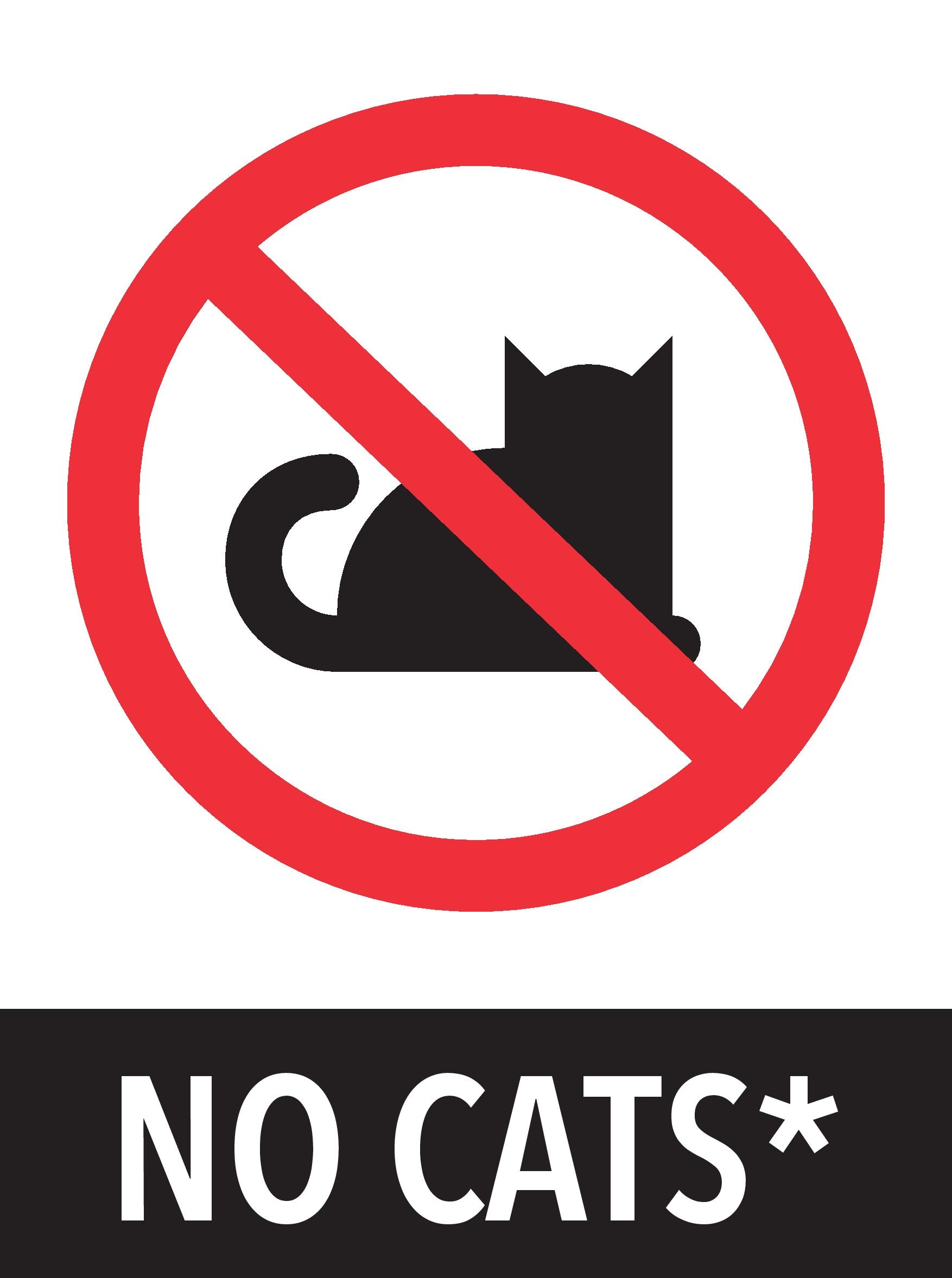 No+cats.jpg