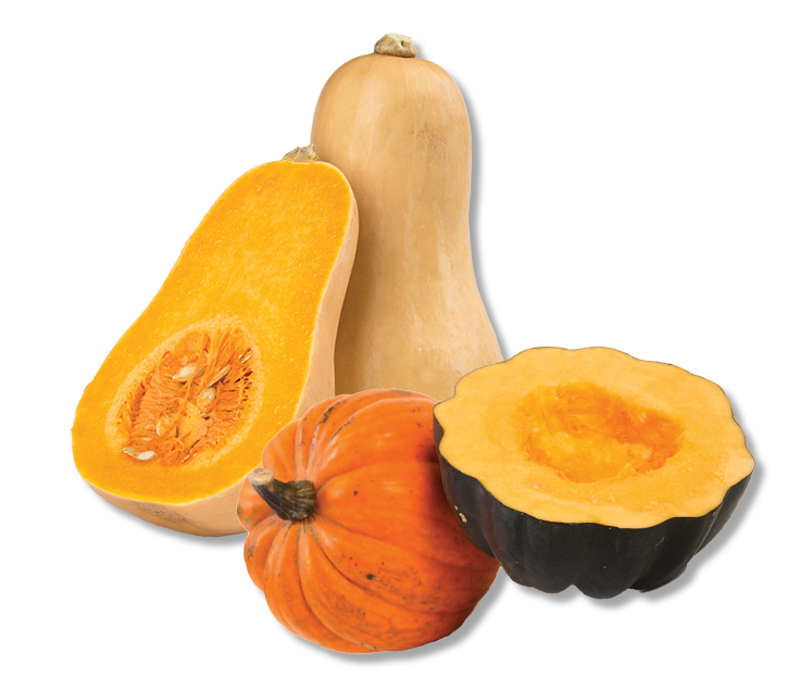 Winter Squash