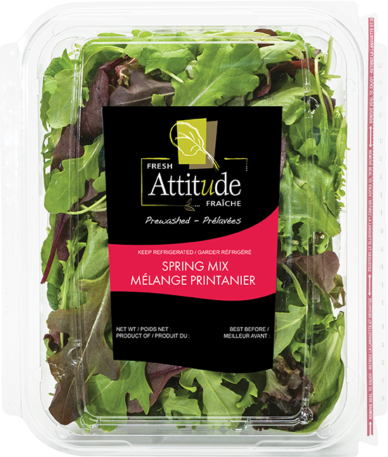 Attitude Salads