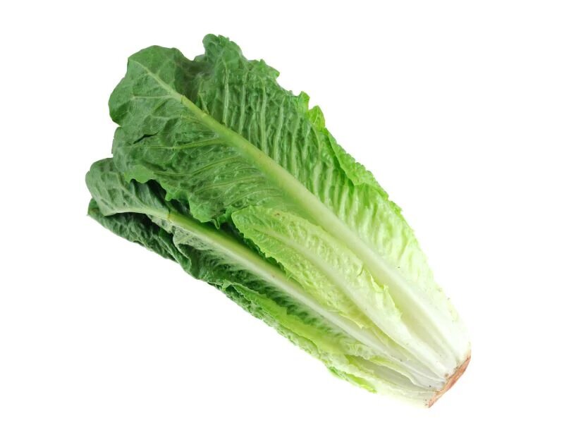 Romaine