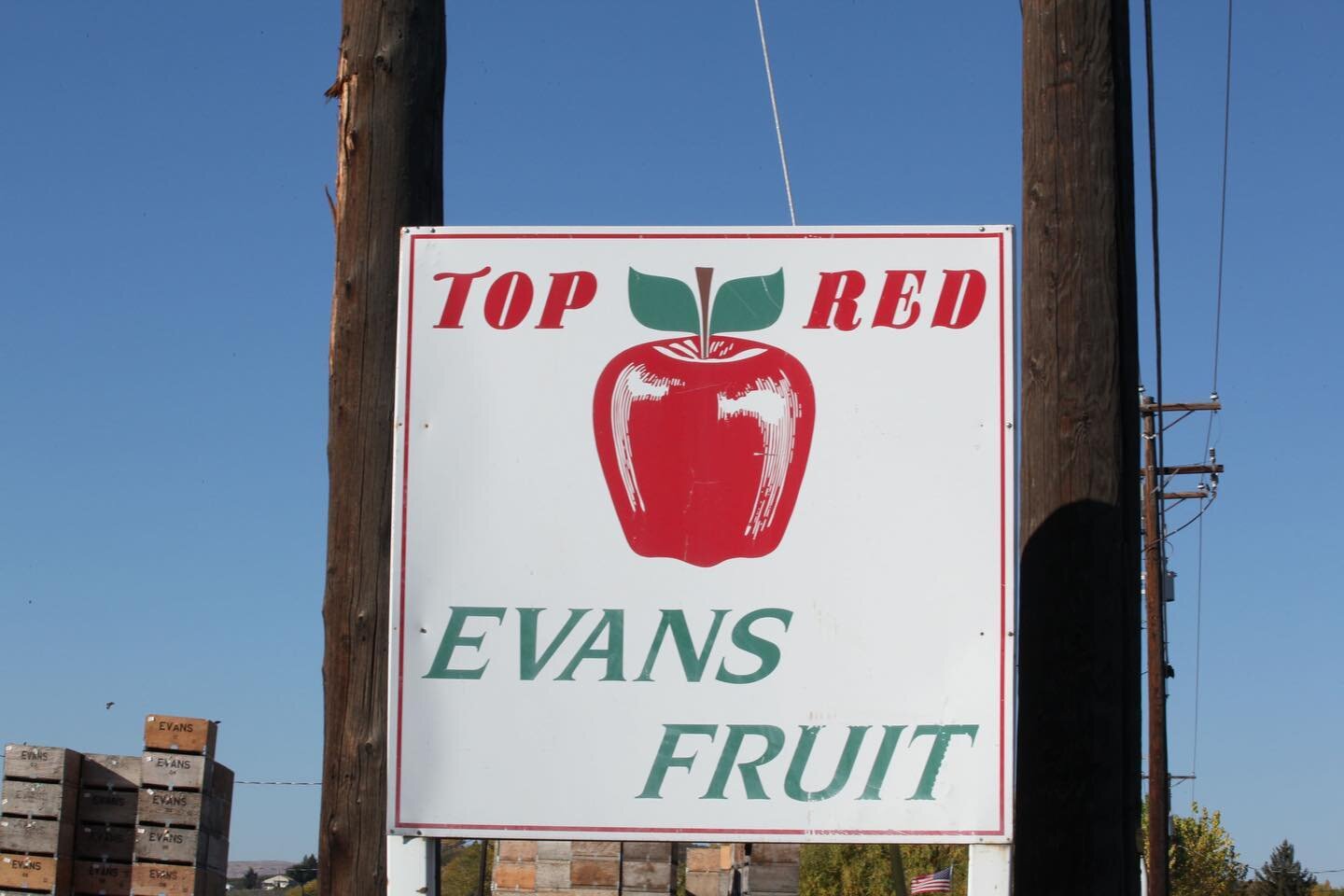 Founded in 1957, Evans Fruit Company is recognized as one of the preeminent apple growers and shippers in the world. 

What started as a humble 10 acre apple orchard owned by Bill and Jeanette Evans has since grown to encompass over 8000 acres with t