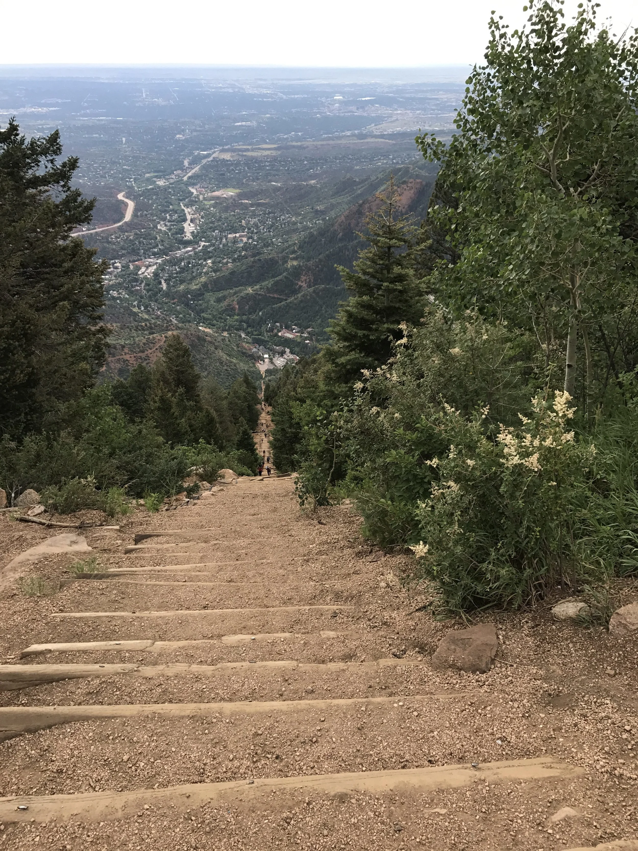 Elder Law Decision Making