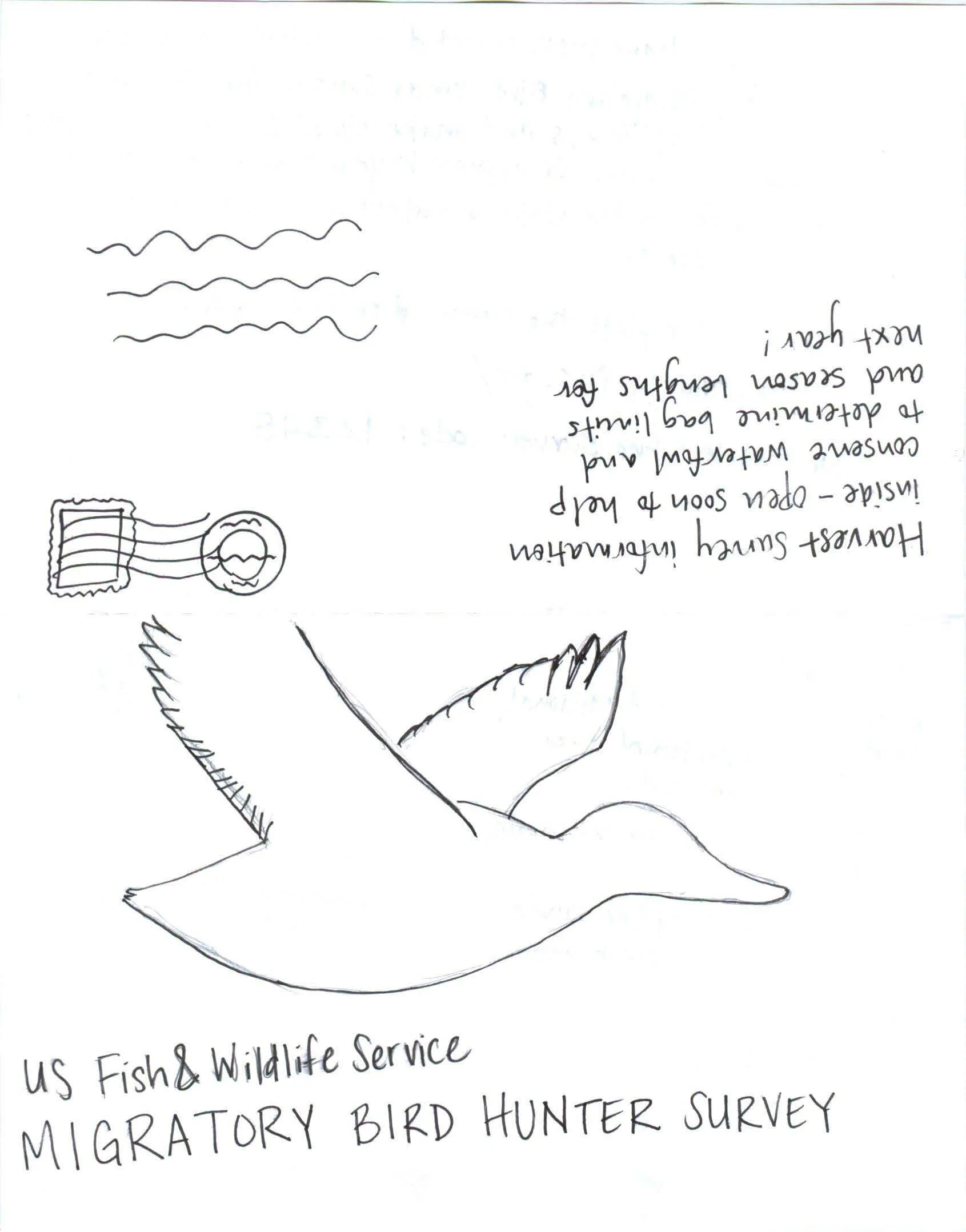 PaperProtoTypeWaterfowlSurvey_Page_03.jpg
