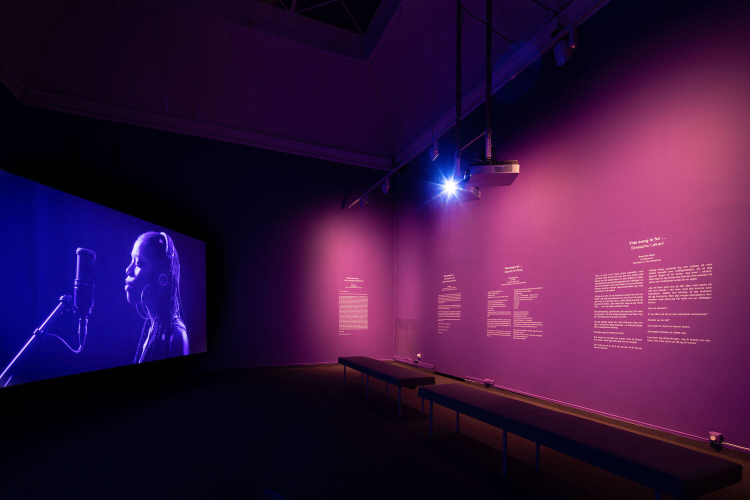 Gabrielle Goliath_This song is for_Göteborgs Konsthall_Installation view 6_2020.jpg