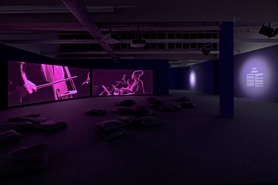 Gabrielle Goliath_This song is for_2019_Installation view_Kunsthaus Baselland_2022_photo by Gina Folly_4.png