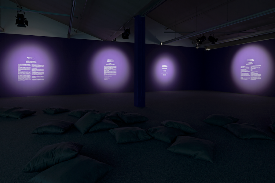 Gabrielle Goliath_This song is for_2019_Installation view_Kunsthaus Baselland_2022_photo by Gina Folly_8.png