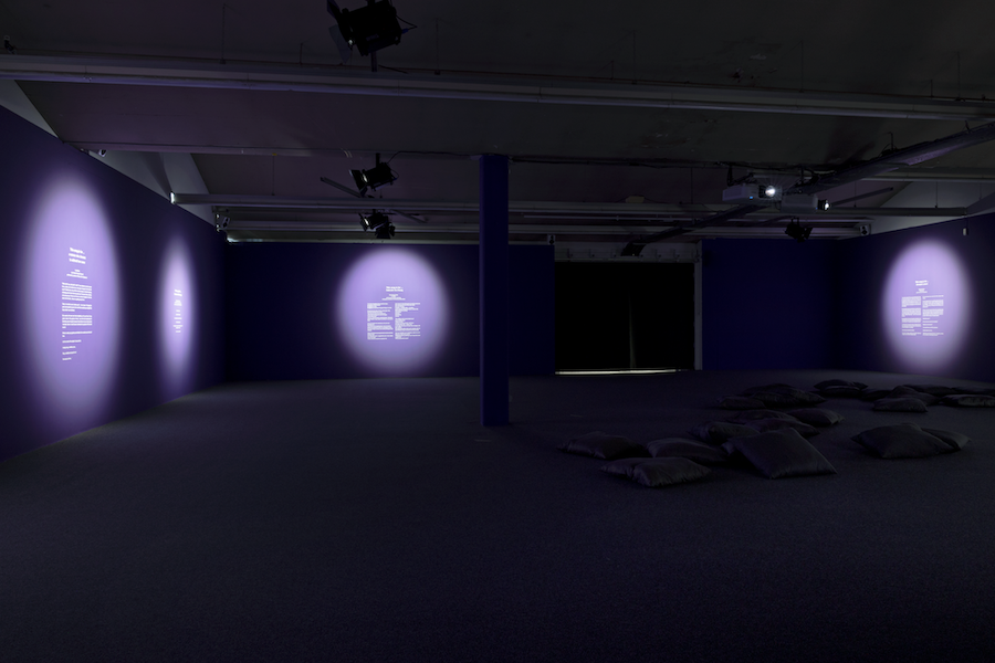 Gabrielle Goliath_This song is for_2019_Installation view_Kunsthaus Baselland_2022_photo by Gina Folly_13.png