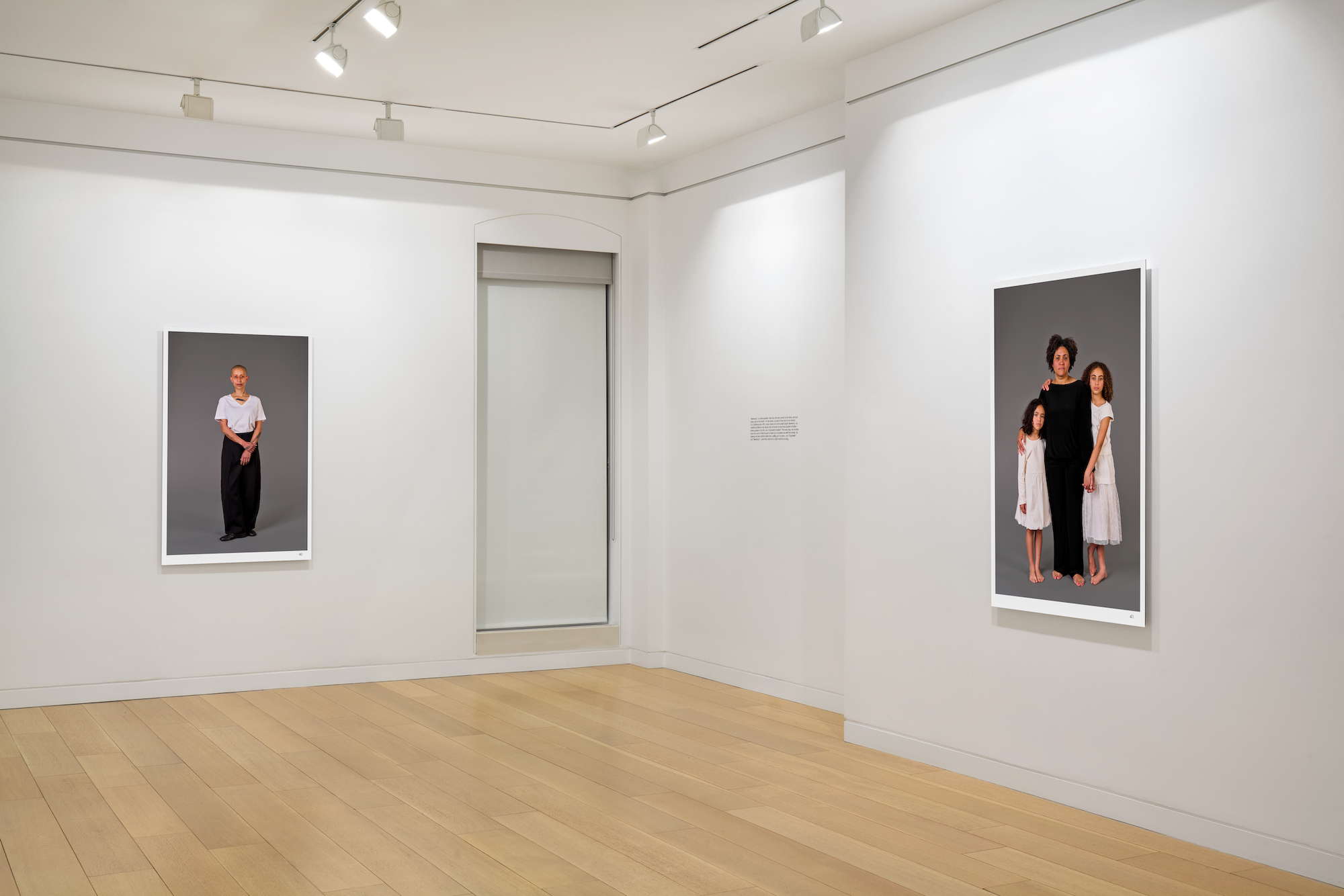 Gabrielle Goliath Berenice Installation Image-7.png