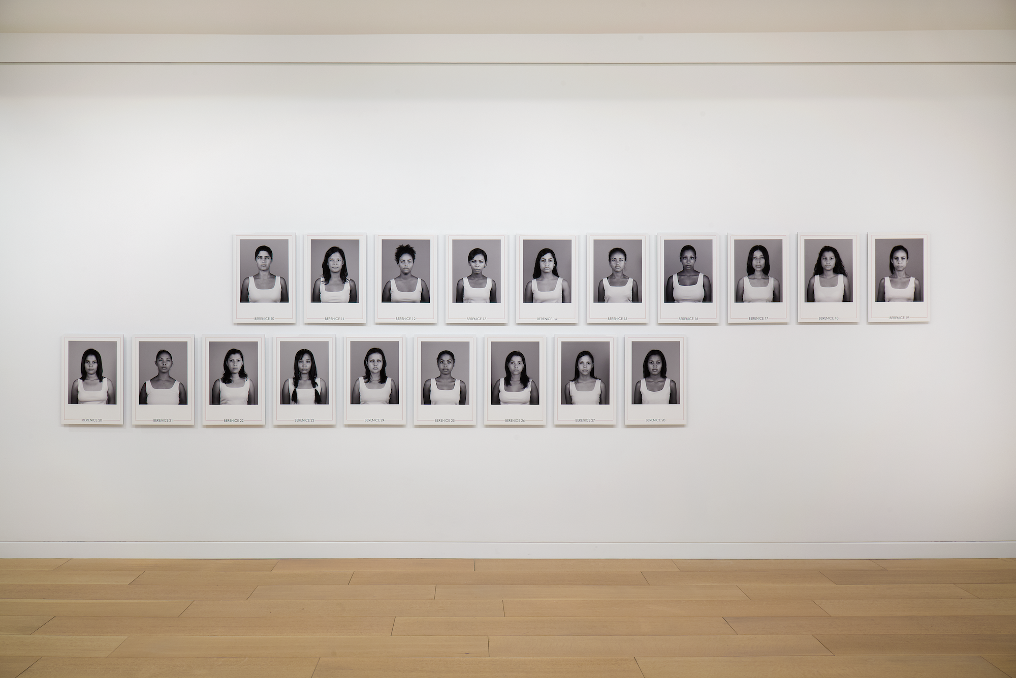 Gabrielle Goliath Berenice Installation Image-10.png