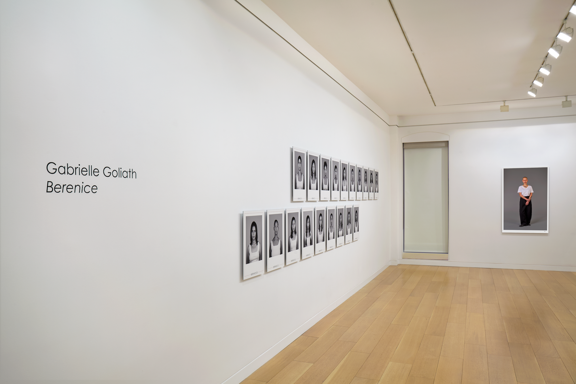 Gabrielle Goliath Berenice Installation Image-11.png