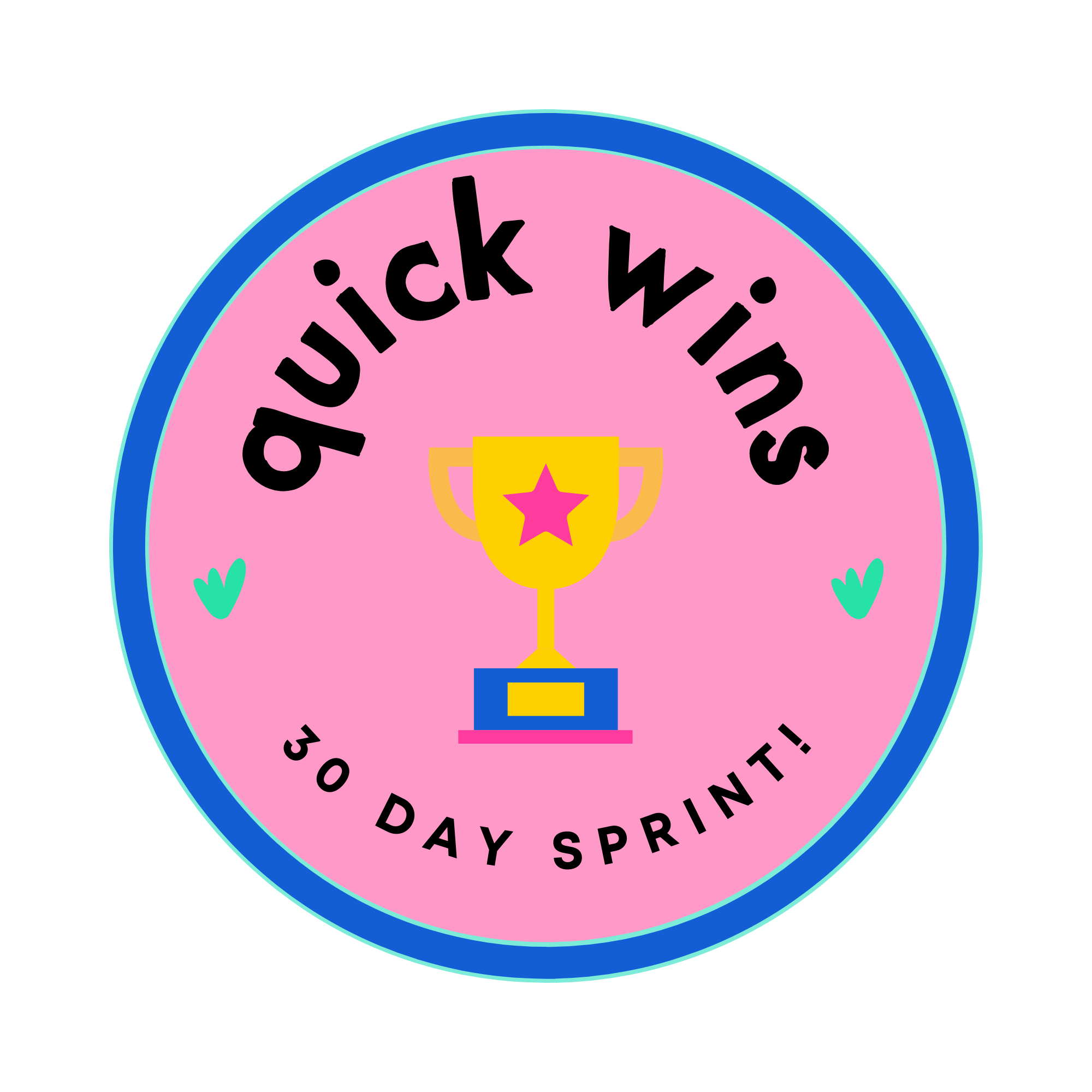 Quick Wins 30 day sprint.png