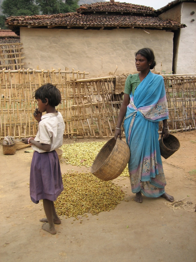 C8i Munda and Oraon Adivasi prepare and share hadia and mahua wine 2.jpg