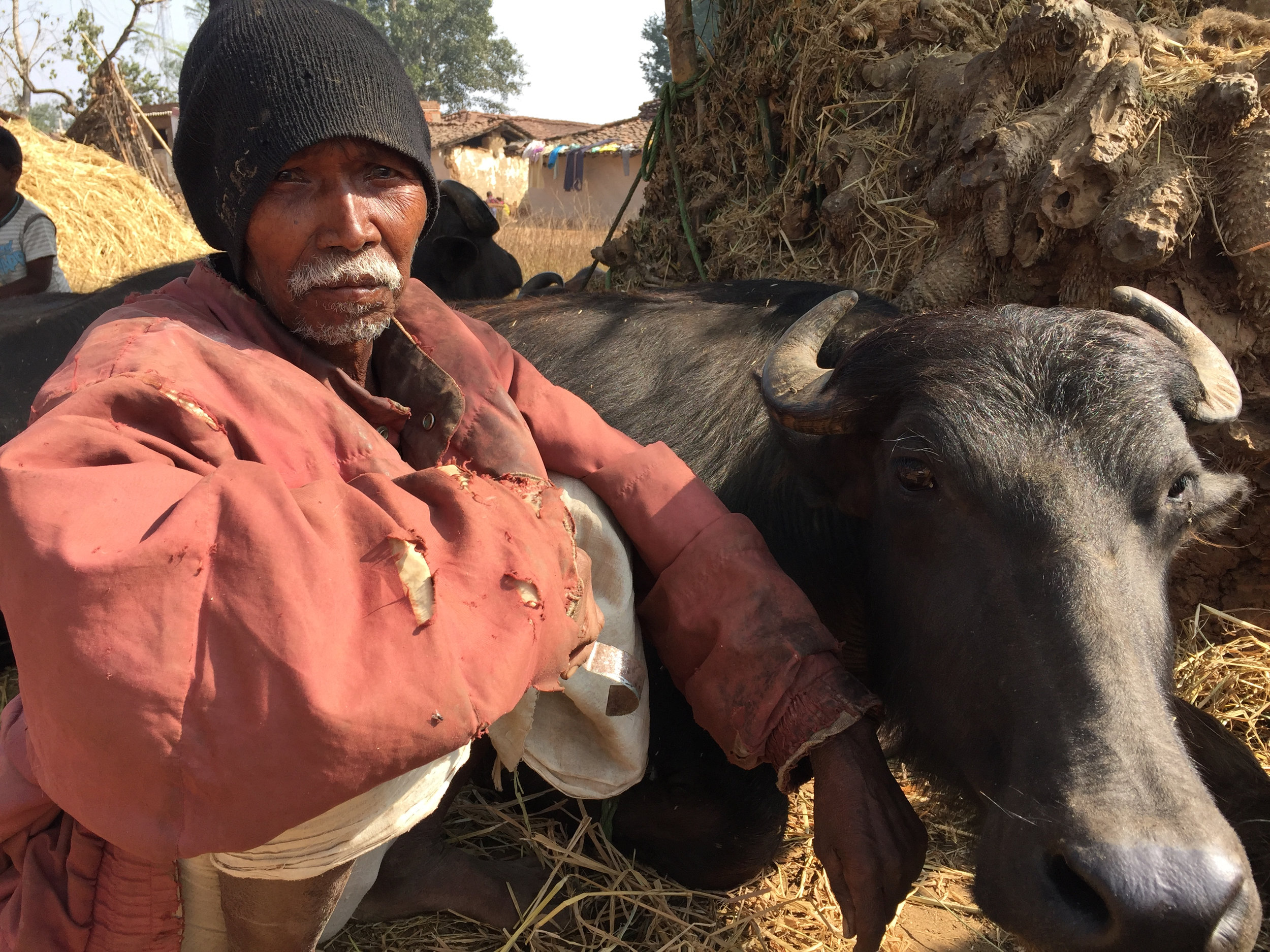 C12 Adivasi man with his buffalo.jpg