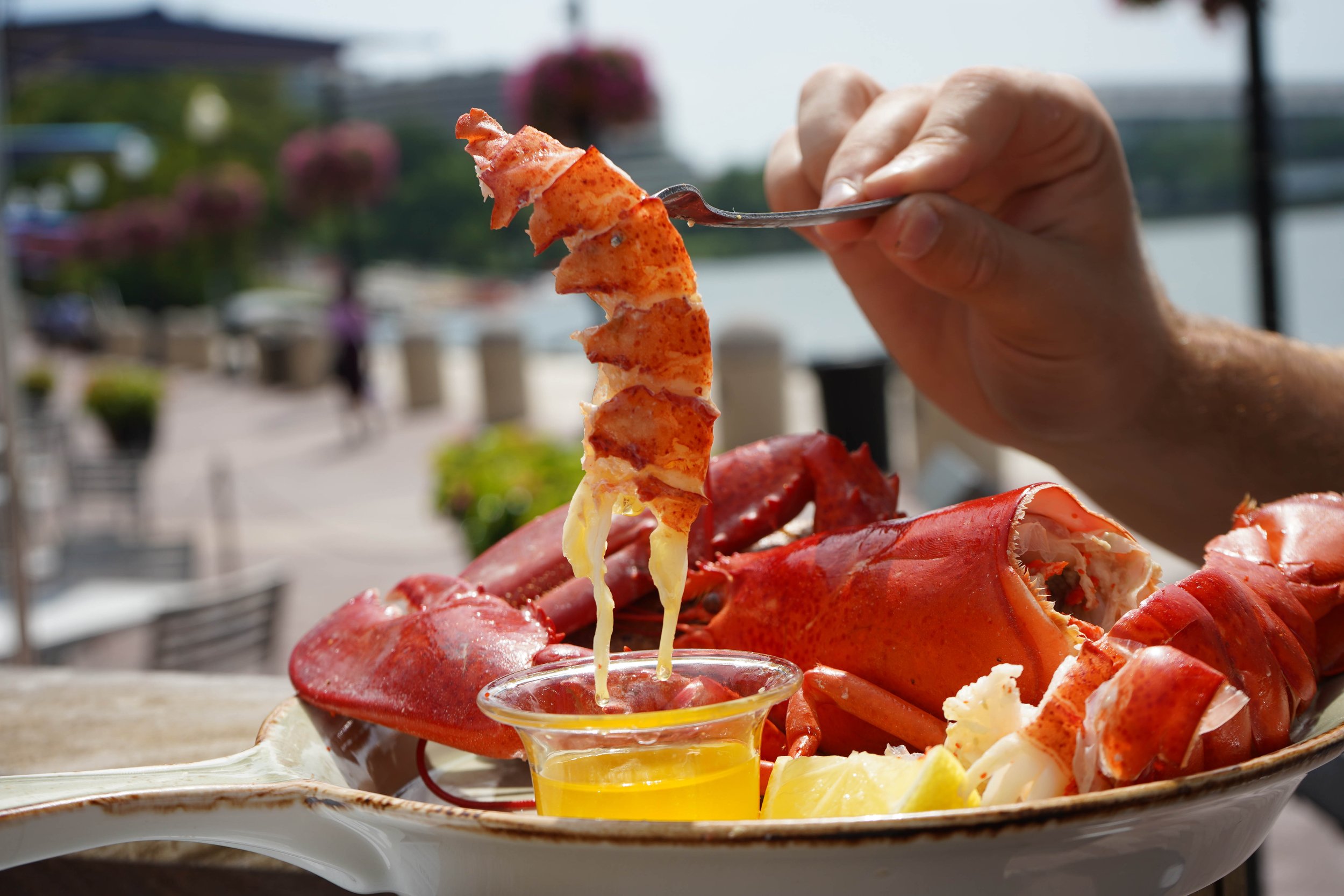 Lobster Dunk.jpg