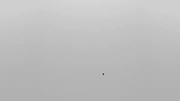 bio1.gif