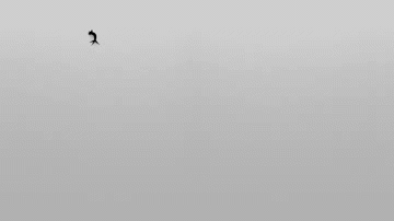 bio3.gif