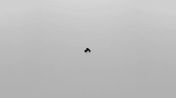 bio4.gif