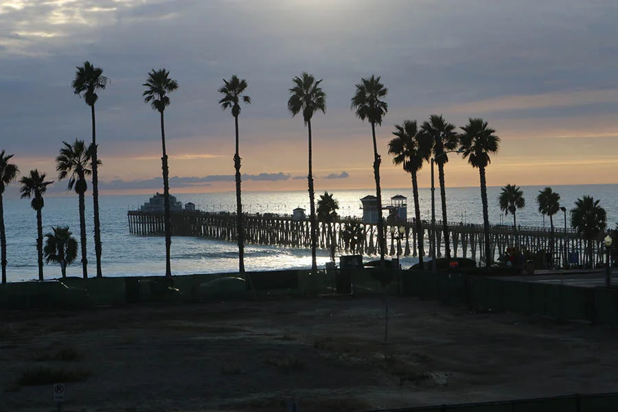 IMG_1540.jpg