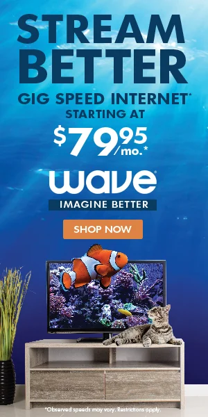 Stream Better-Cat-All regions_7995_300x600.jpg