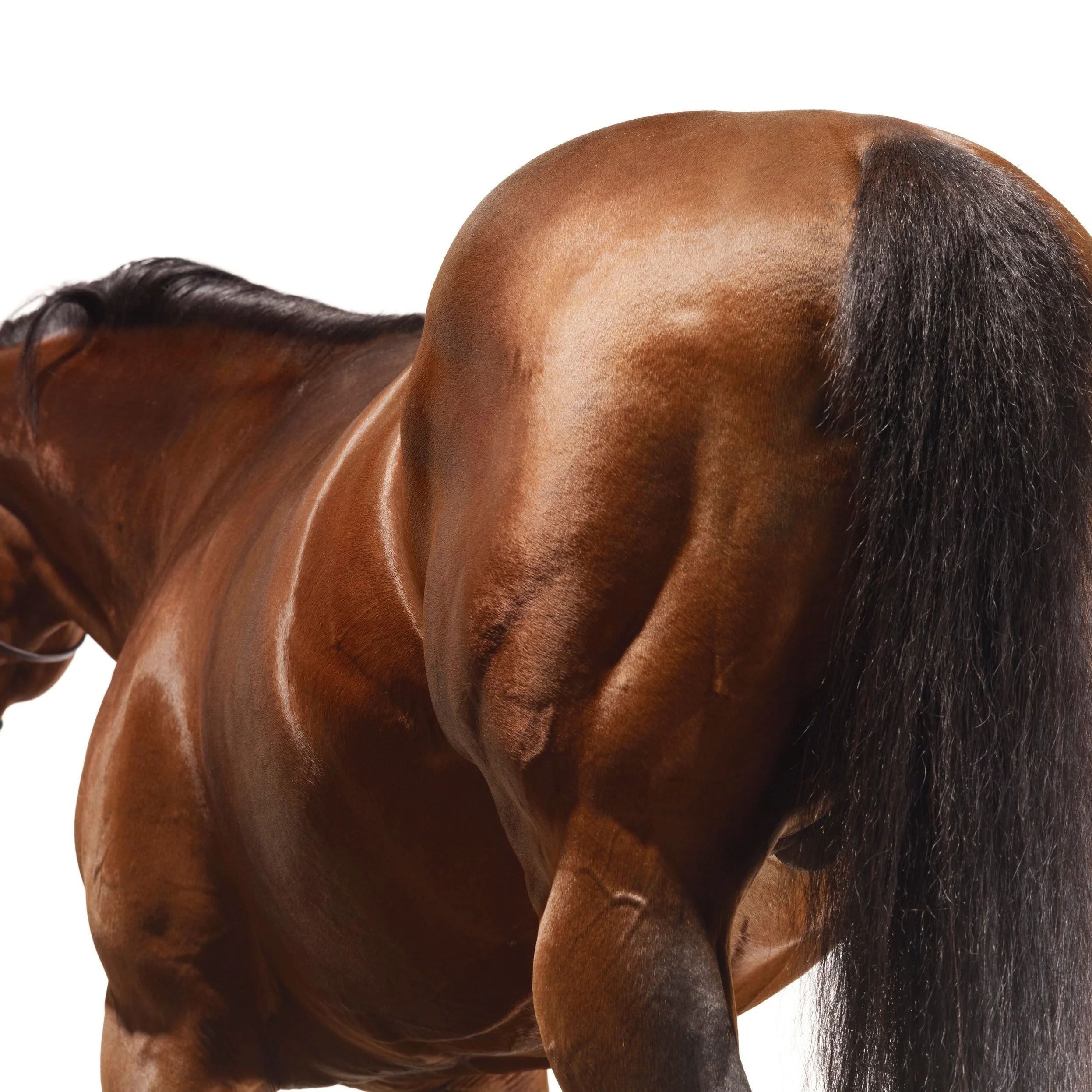 Dubawi.jpg