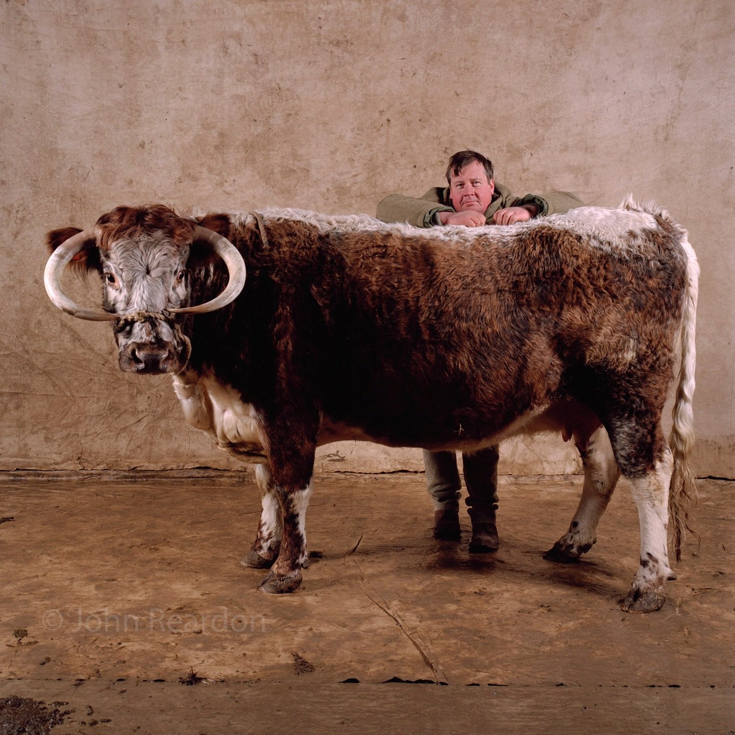 Tim Wilson.
Founder of The Ginger Pig.

&copy; John Reardon, 2015.

Follow @johnreardonarchive for more unpublished &amp; archive materials.

@johnreardonarchive
#chef #ObserverFoodMagazine #OFM
#TimWilson #TheGingerPig @gingerpigltd @bexseal @obsfoo