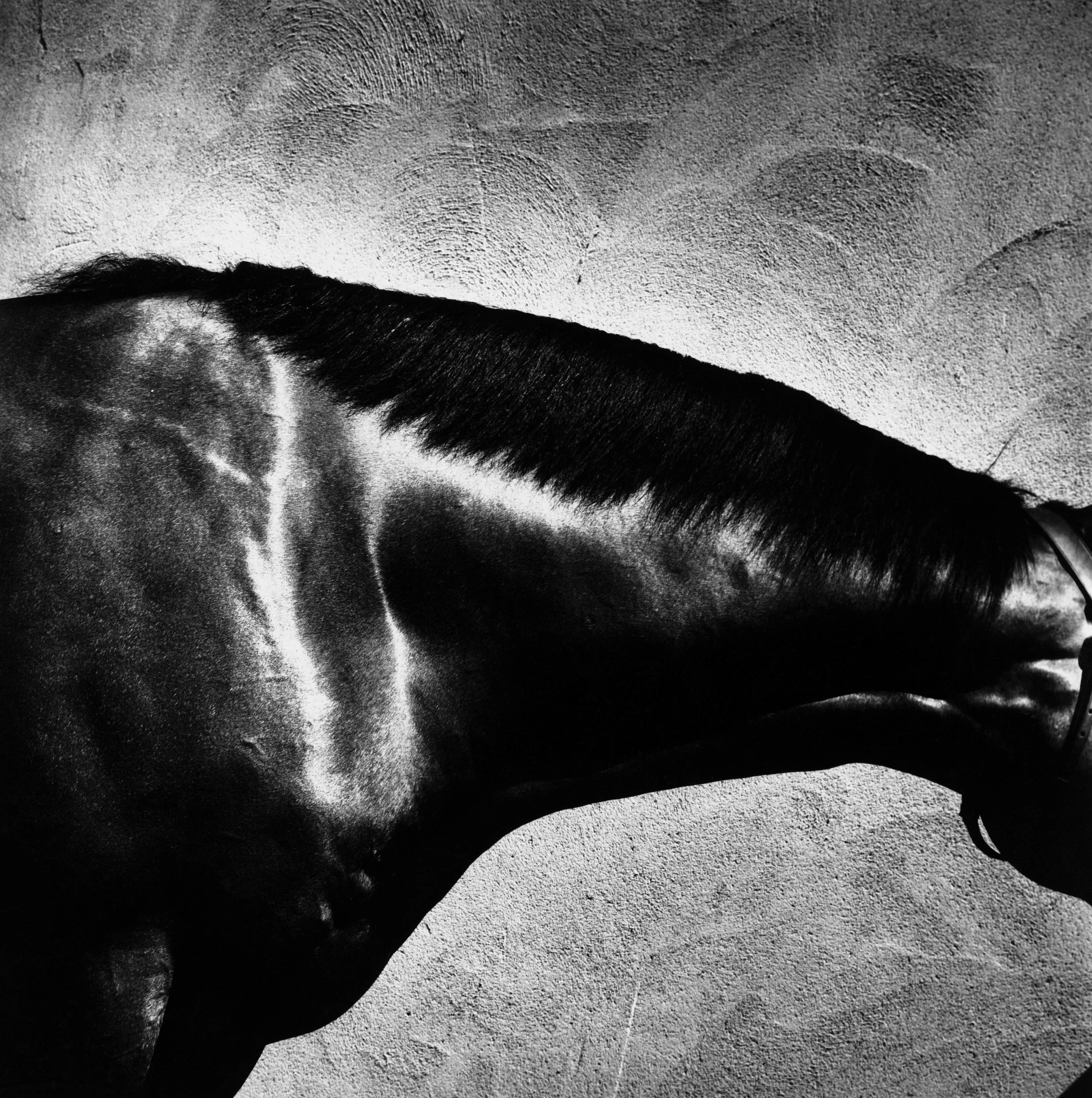 KINGS BEST - Version 2.jpg