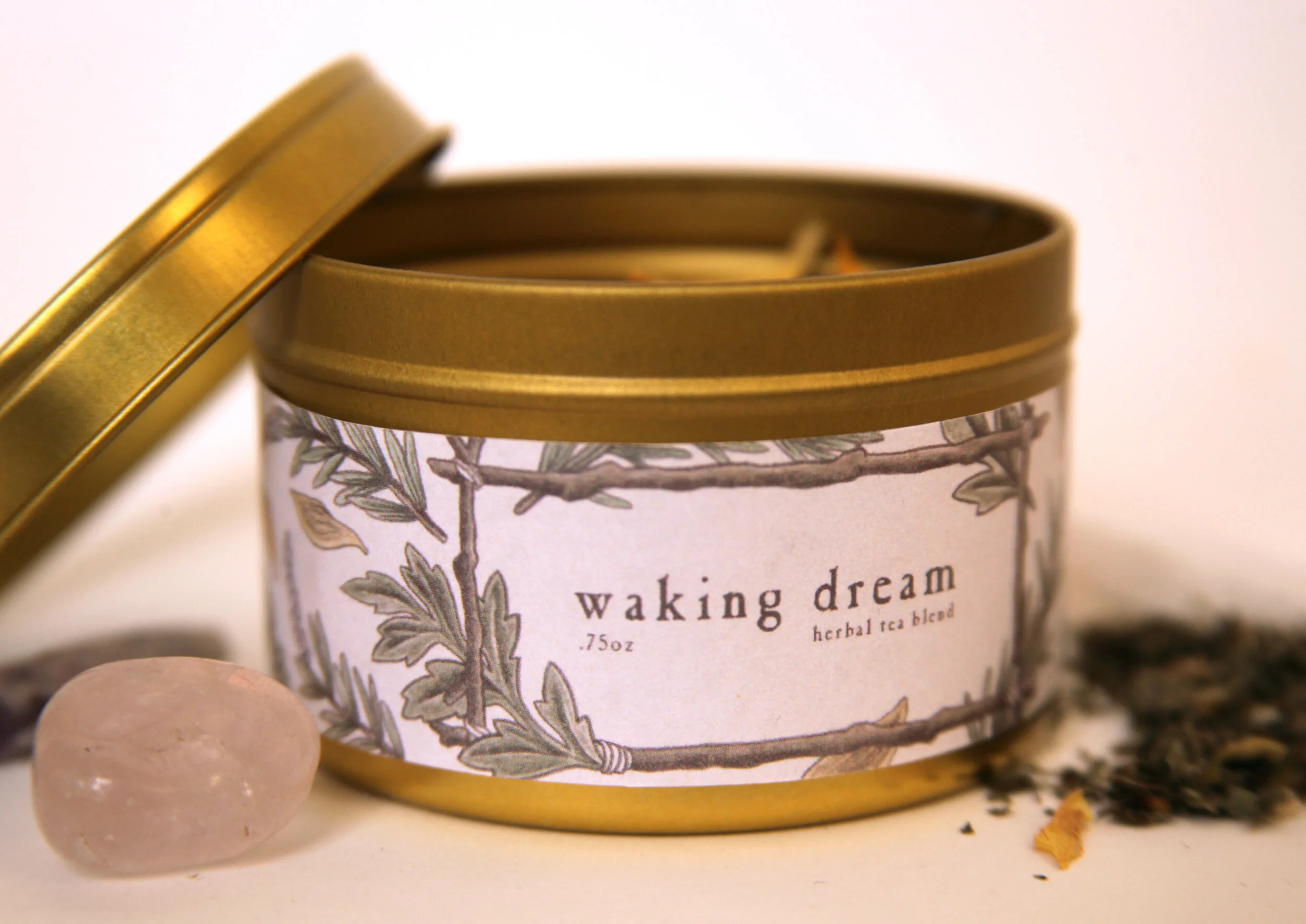 Waking Dream Mockup.jpg