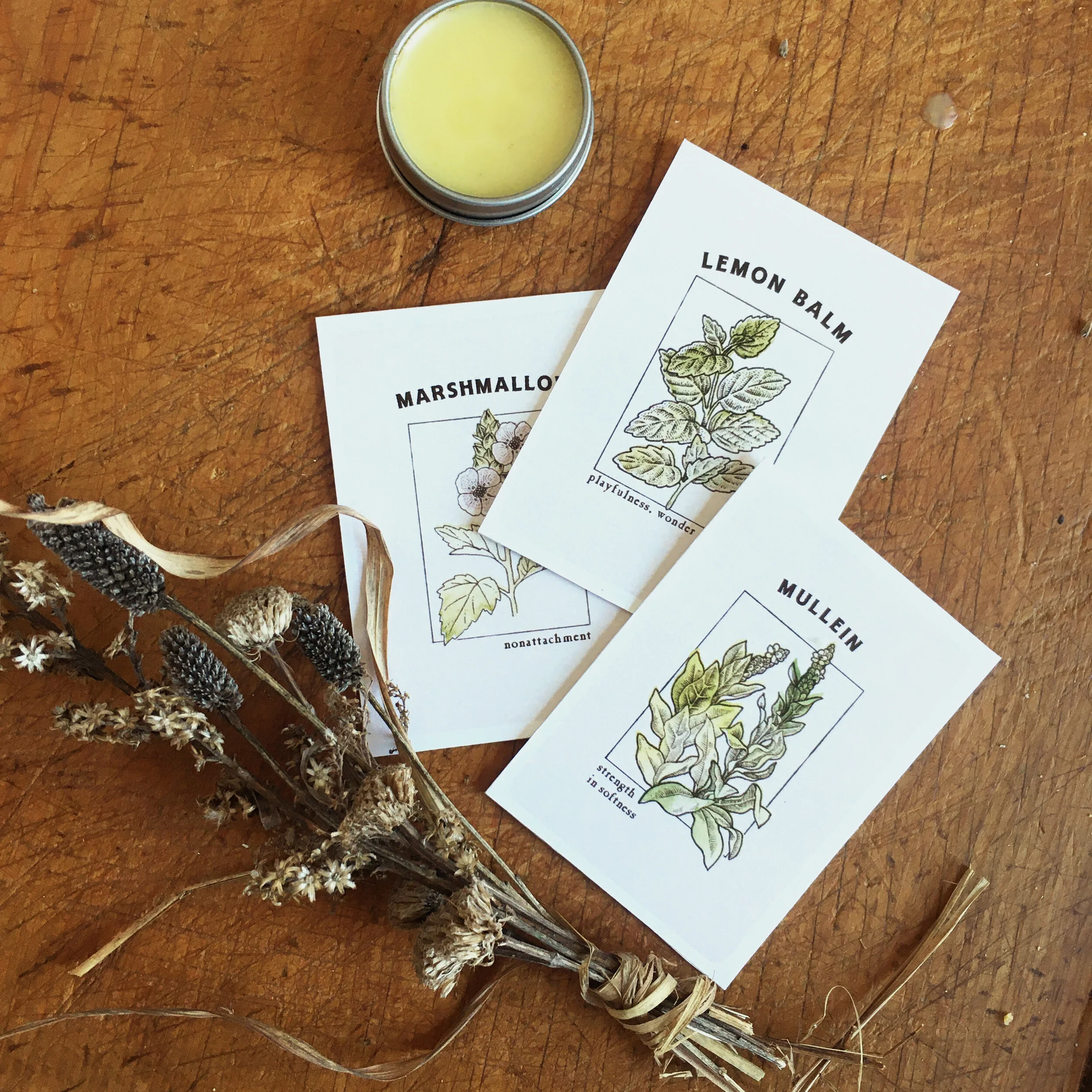 Materia Medica Mockup