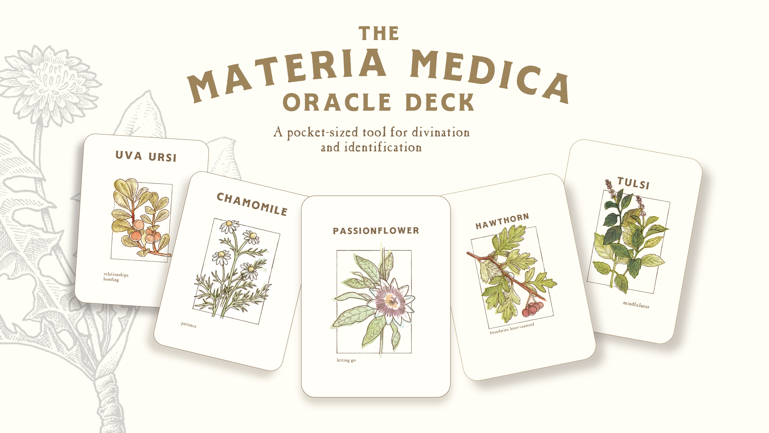 Kickstarter Header-03.png