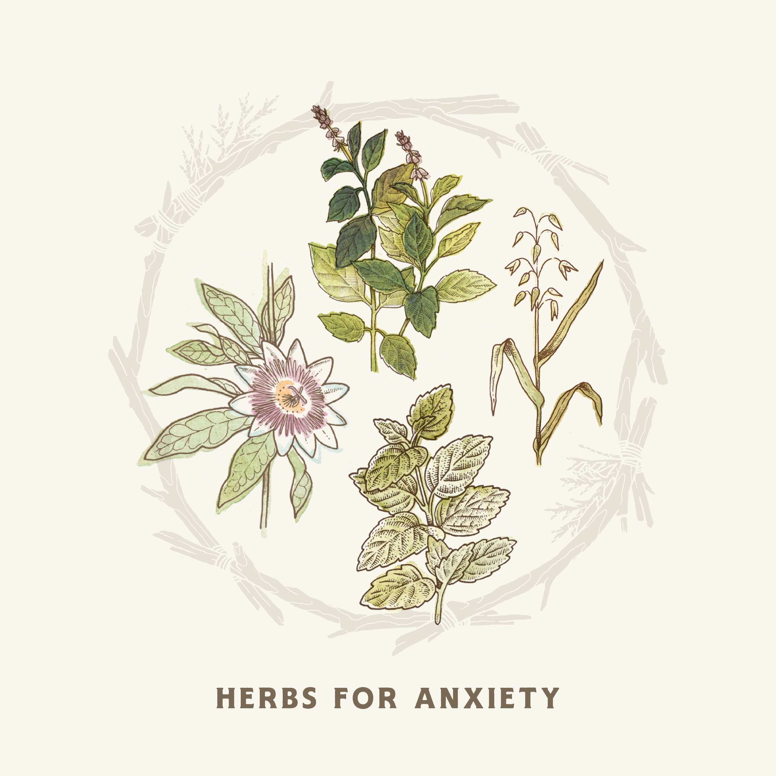 5 Favorite Herbs for Anxiety