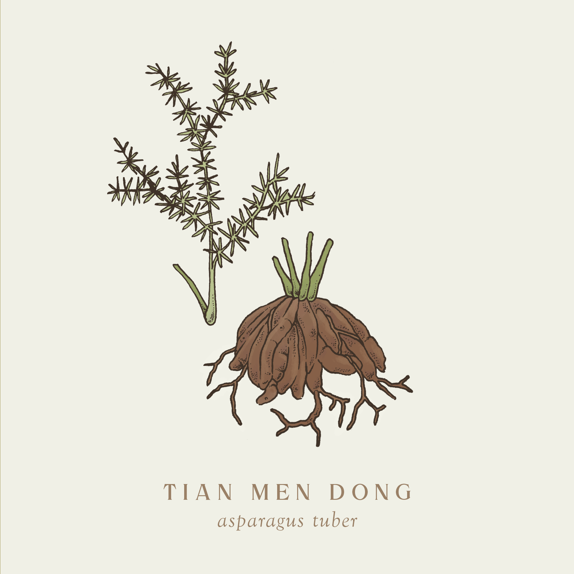 plants-nov-tianmendong.png