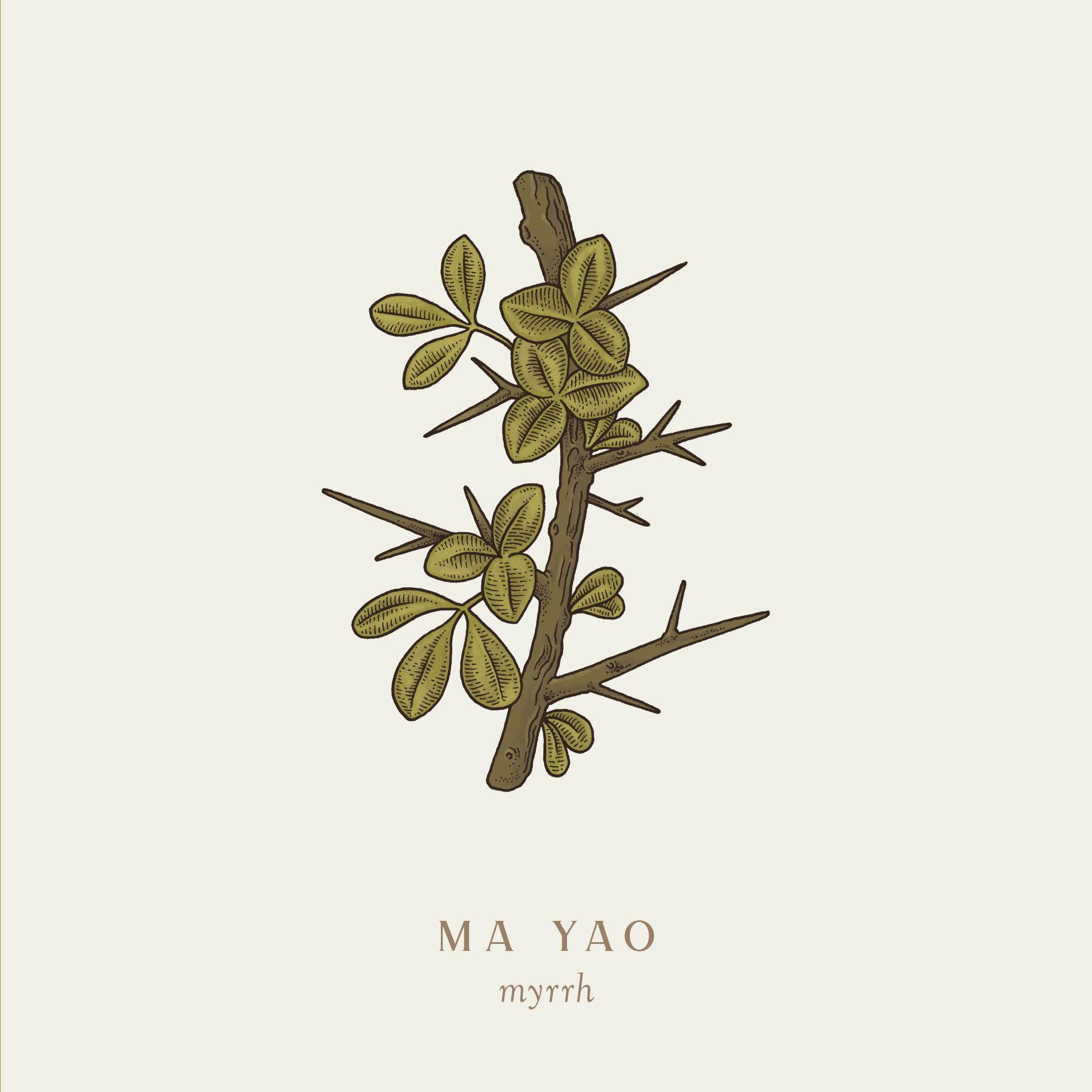 plants-dec-mayao.png