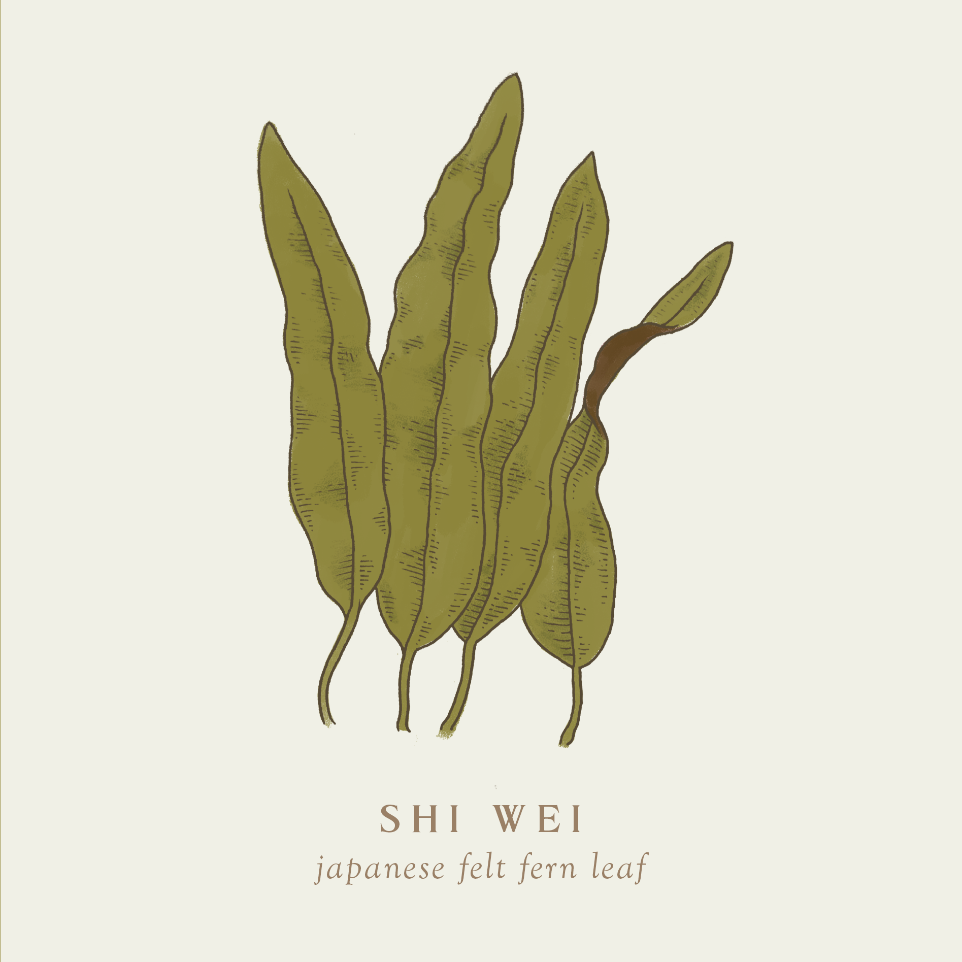 plants-july-shiwei.png